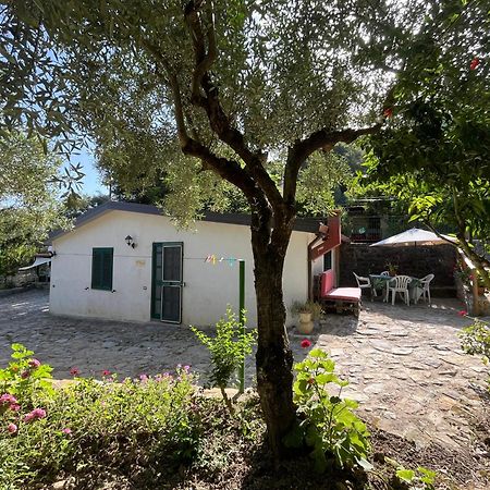 Casa Vacanze Alfano Ascea Dış mekan fotoğraf