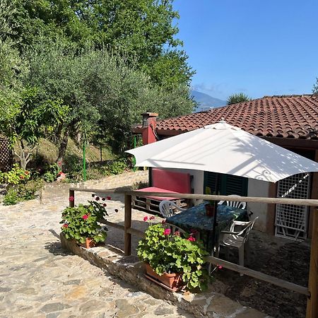 Casa Vacanze Alfano Ascea Dış mekan fotoğraf