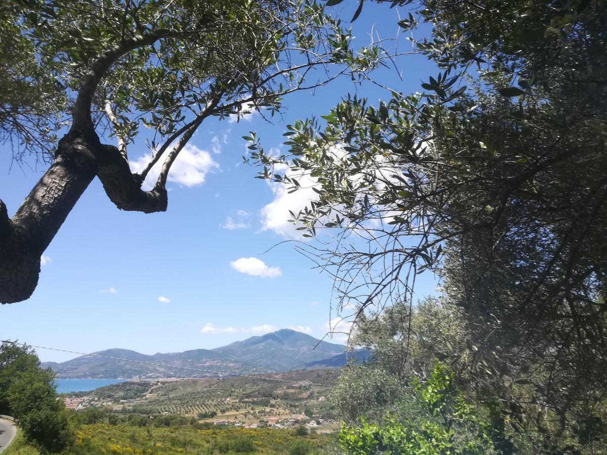 Casa Vacanze Alfano Ascea Dış mekan fotoğraf