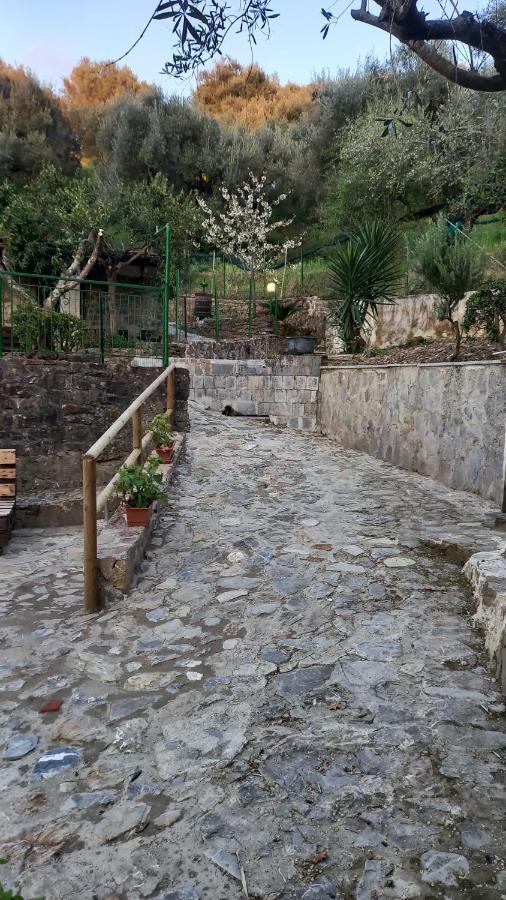 Casa Vacanze Alfano Ascea Dış mekan fotoğraf