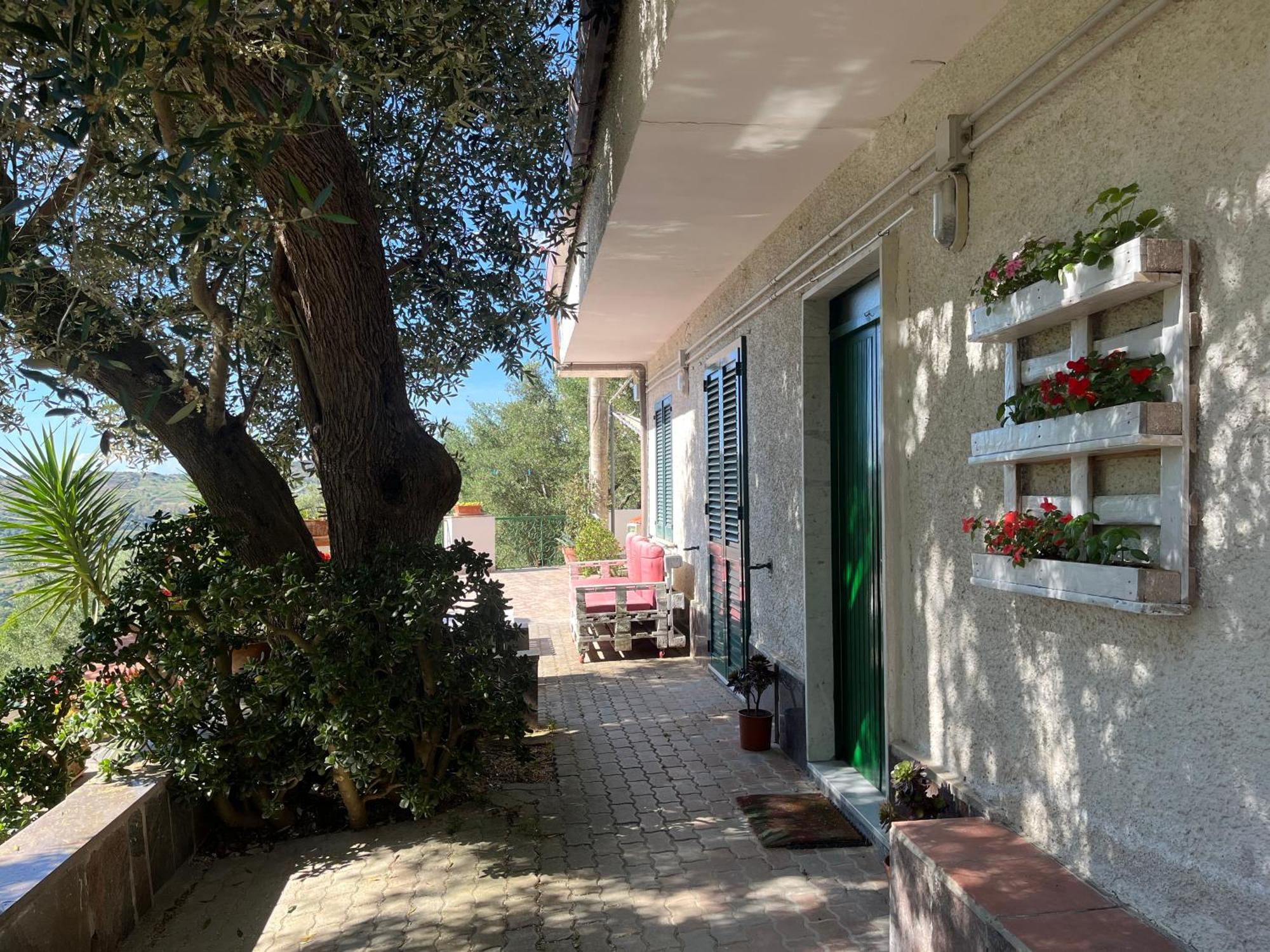 Casa Vacanze Alfano Ascea Dış mekan fotoğraf