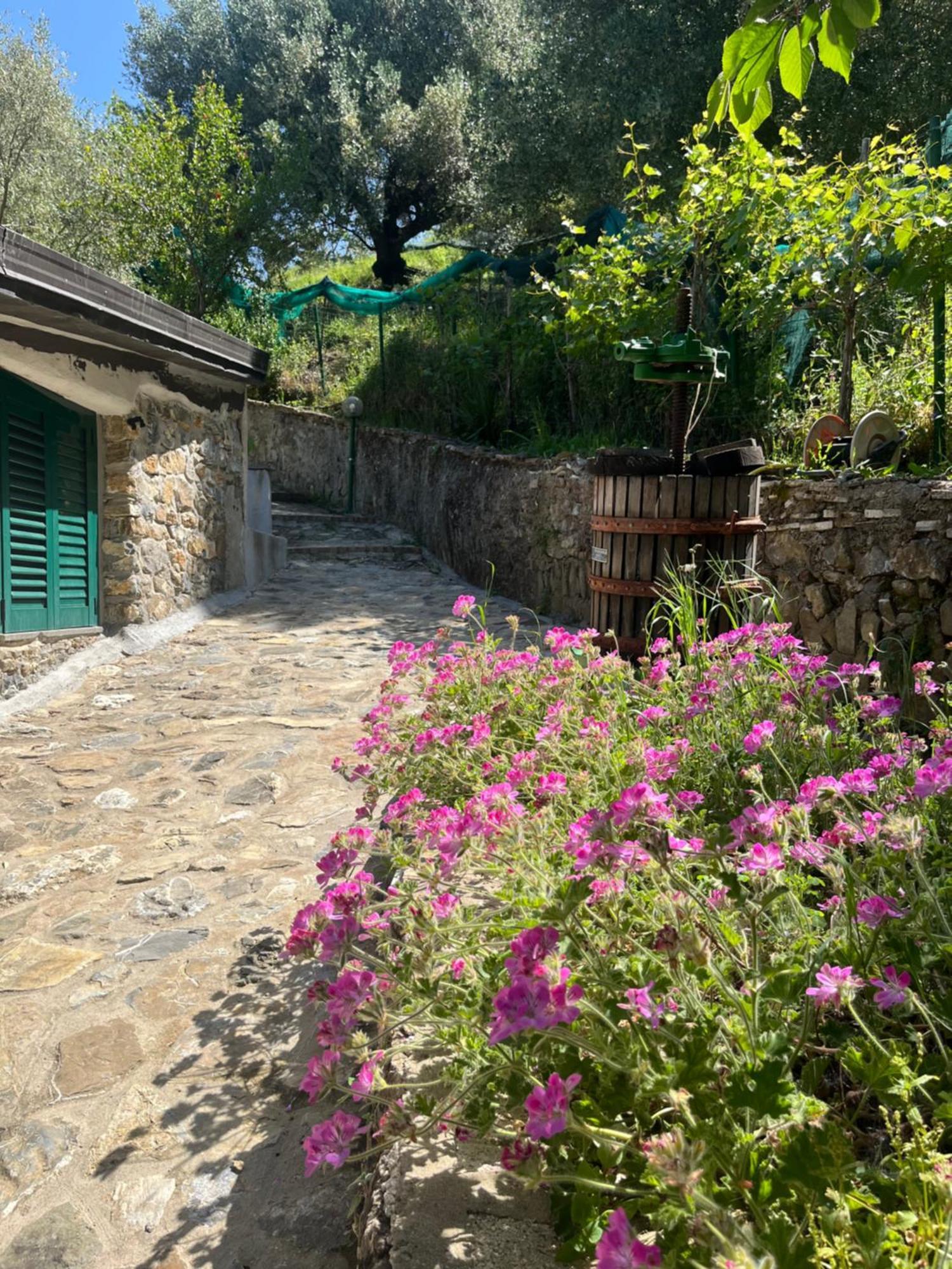 Casa Vacanze Alfano Ascea Dış mekan fotoğraf
