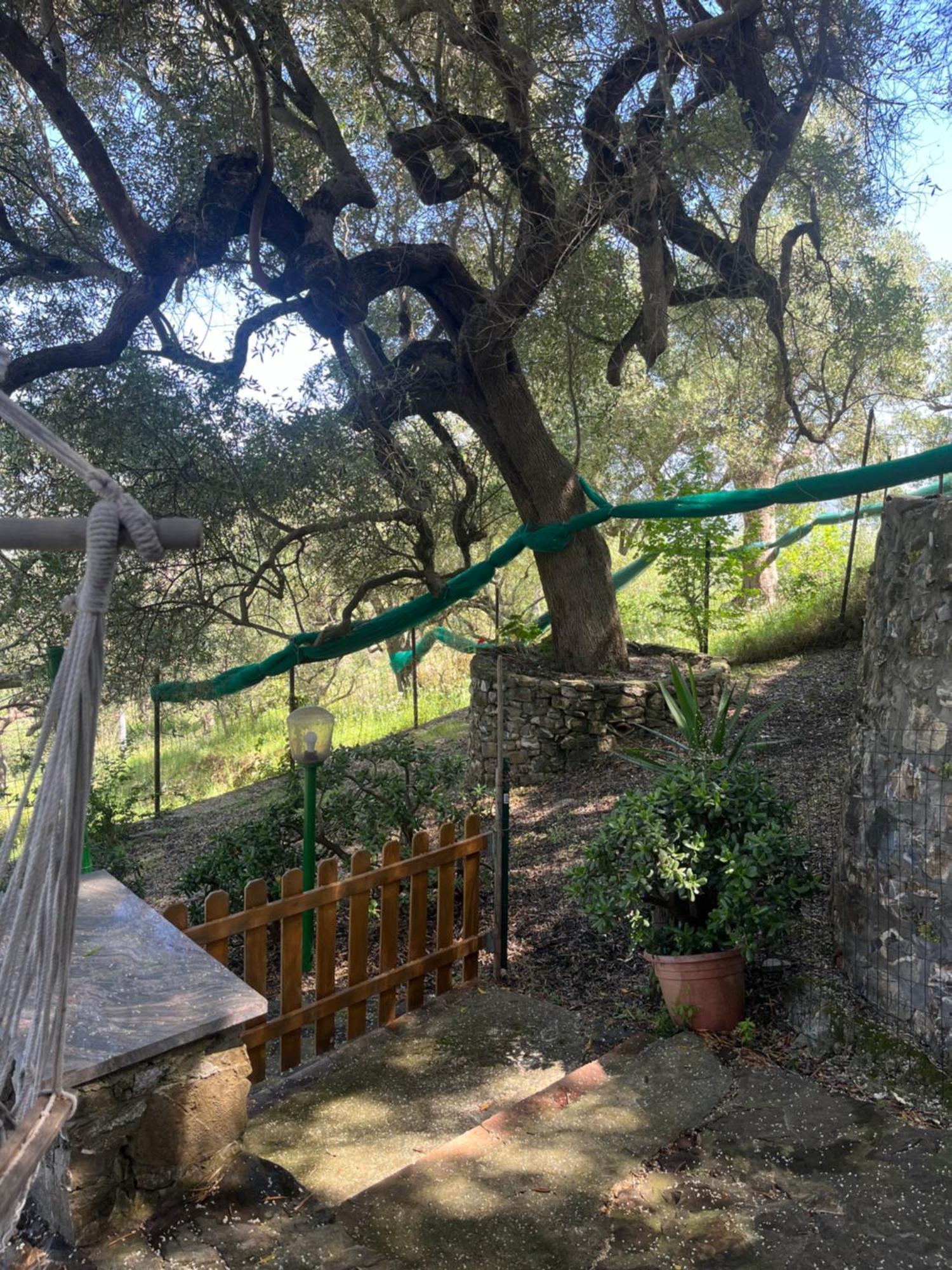 Casa Vacanze Alfano Ascea Dış mekan fotoğraf