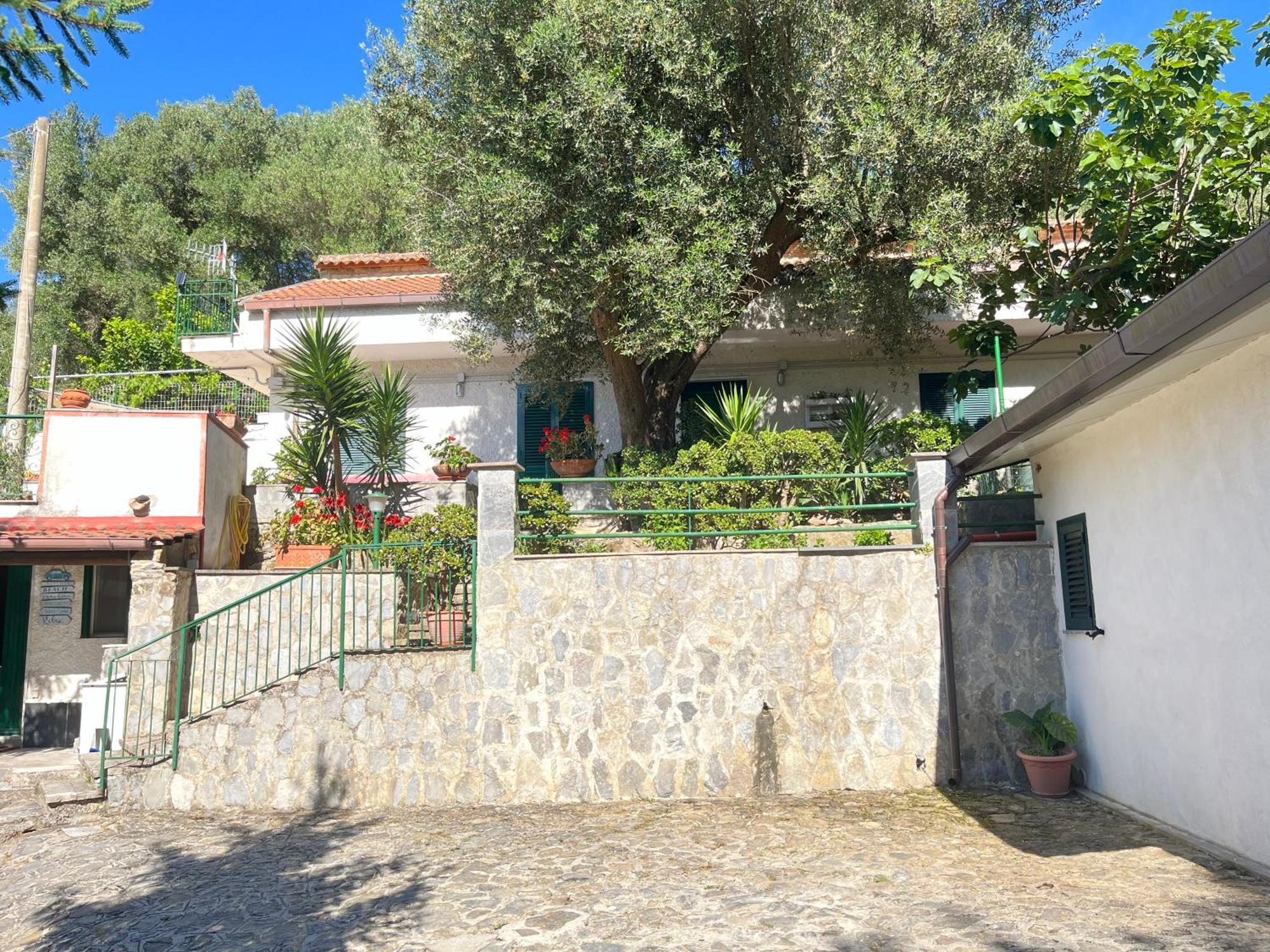Casa Vacanze Alfano Ascea Dış mekan fotoğraf