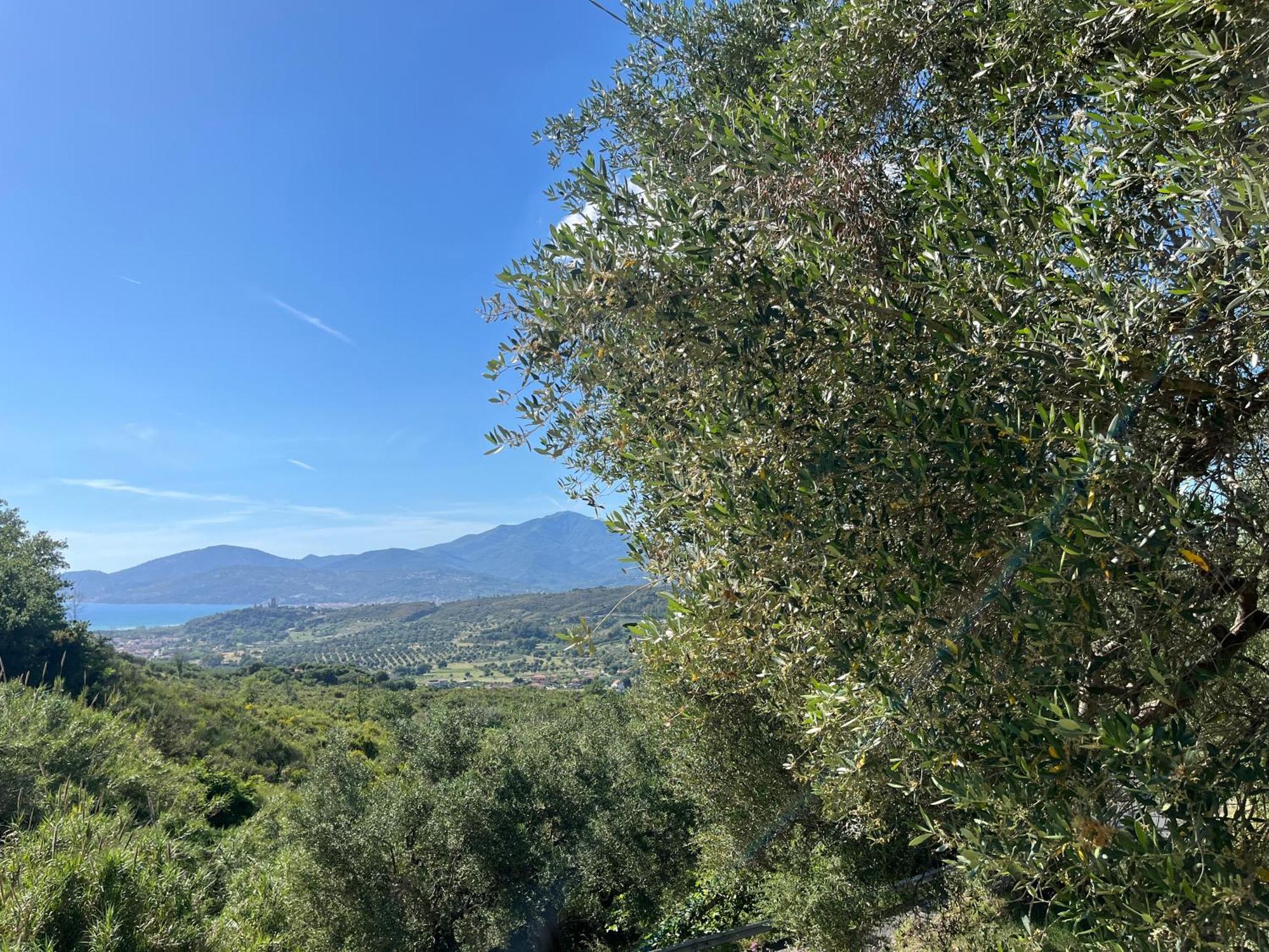 Casa Vacanze Alfano Ascea Dış mekan fotoğraf