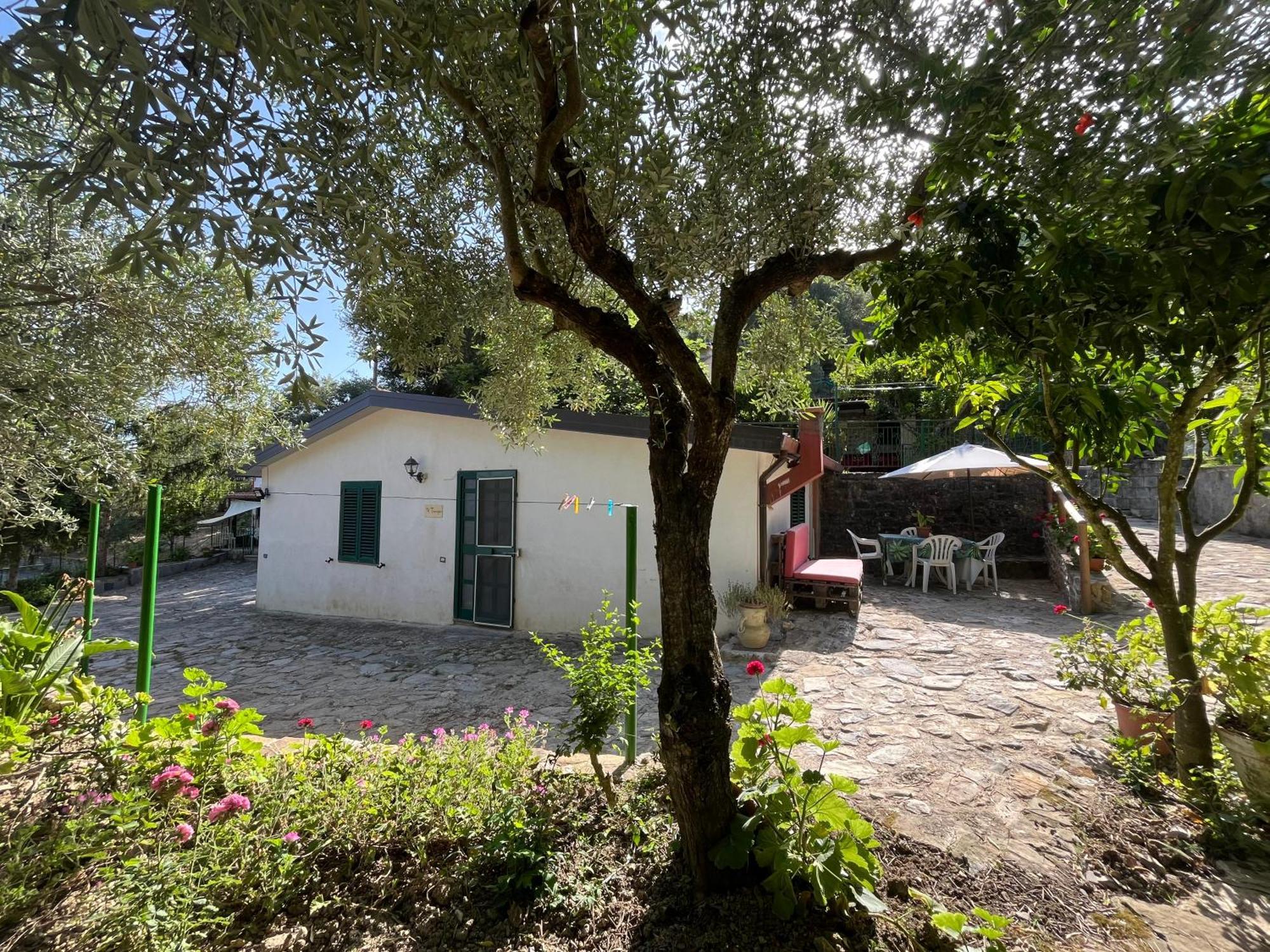 Casa Vacanze Alfano Ascea Dış mekan fotoğraf