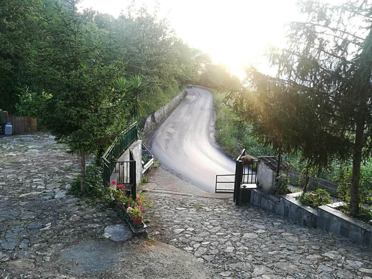 Casa Vacanze Alfano Ascea Dış mekan fotoğraf